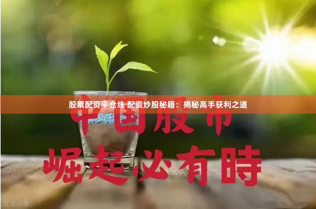 股票配资平仓线 配资炒股秘籍：揭秘高手获利之道
