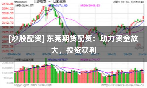 [炒股配资] 东莞期货配资：助力资金放大，投资获利